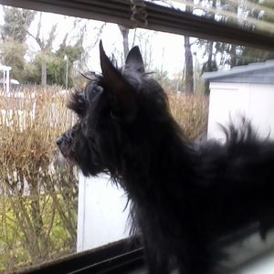 Meet your Posher, Gail